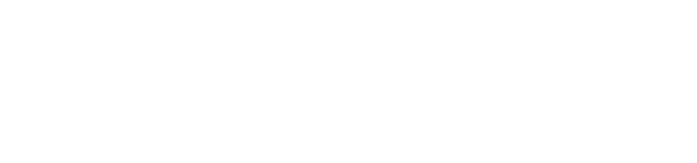 [logo]-Spyrosoft-white
